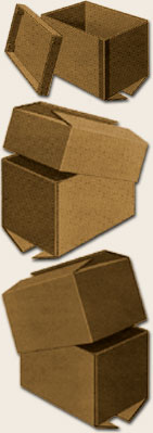 Half Slotted Cartons